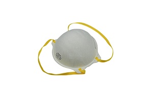 Radians RADN95 Particulate Respirator – 1 Pack Small Pic – Supon Voice